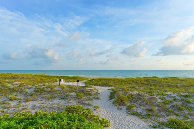 water view featuring a beach view