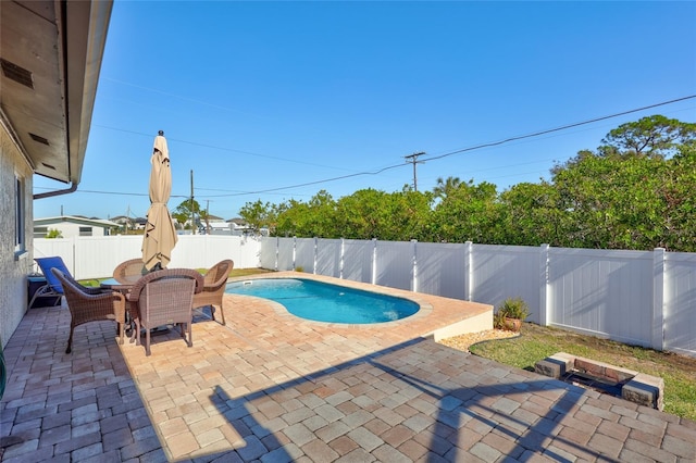 view of swimming pool with a patio area