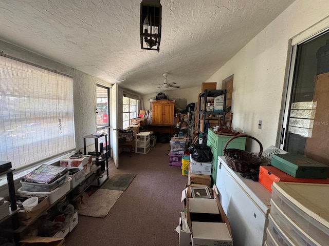 miscellaneous room with carpet flooring, ceiling fan, and a textured ceiling