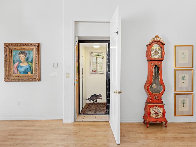 hall featuring light hardwood / wood-style floors