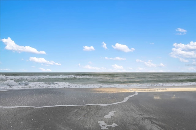 water view featuring a beach view