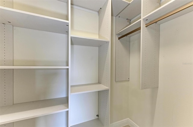 view of spacious closet