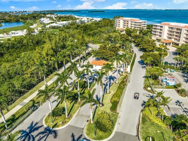 bird's eye view with a water view