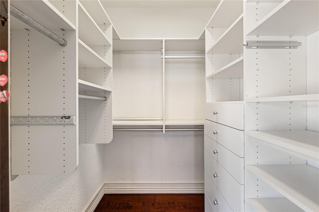 walk in closet featuring hardwood / wood-style floors