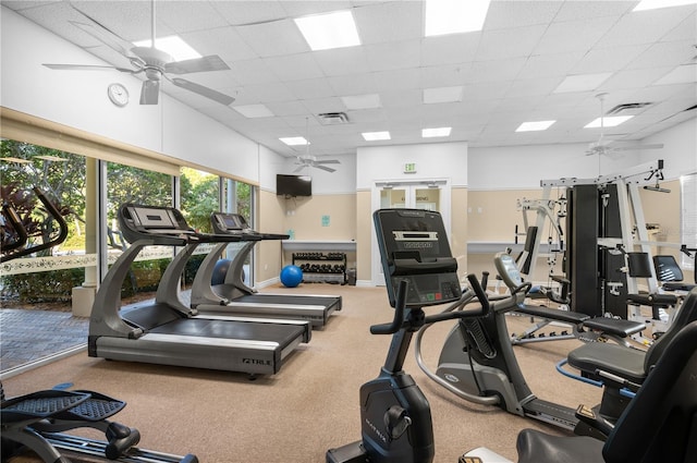 gym featuring ceiling fan, a drop ceiling, and carpet flooring