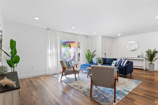 living room with wood-type flooring