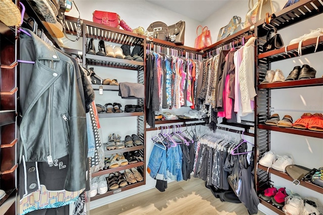 spacious closet with hardwood / wood-style floors