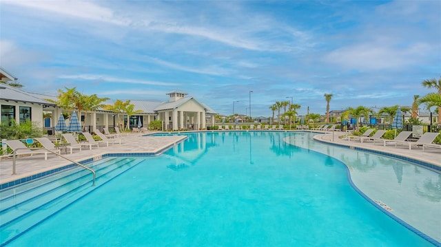 17744 Savory Mist Cir, Bradenton, FL 34211 - pool featuring a patio