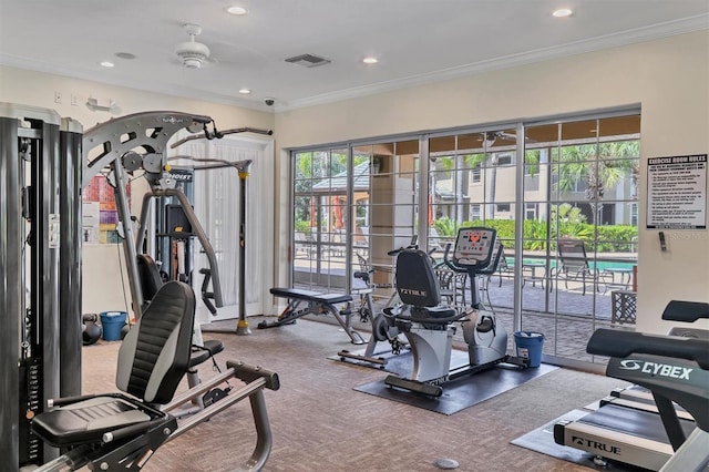 exercise room with crown molding, ceiling fan, and carpet floors