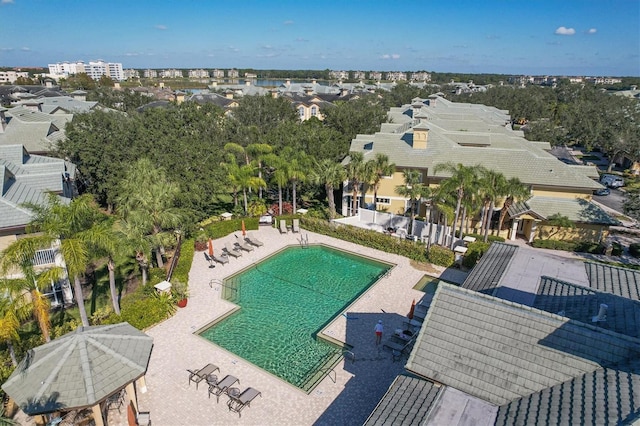 view of pool featuring a patio