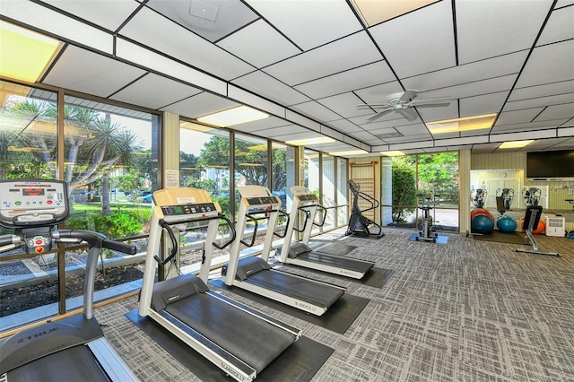 gym featuring carpet, ceiling fan, and floor to ceiling windows