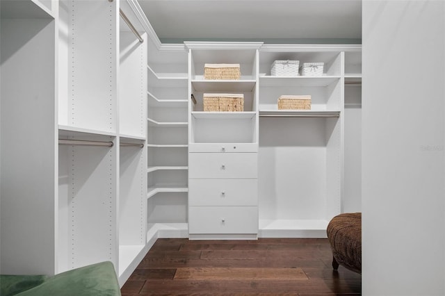 spacious closet with dark wood-type flooring