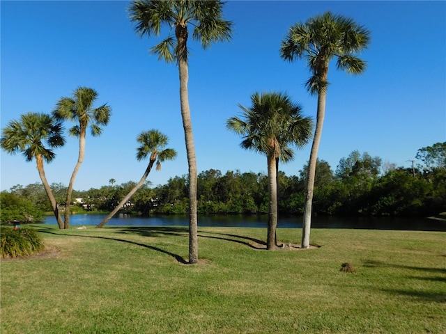 view of home's community with a lawn and a water view