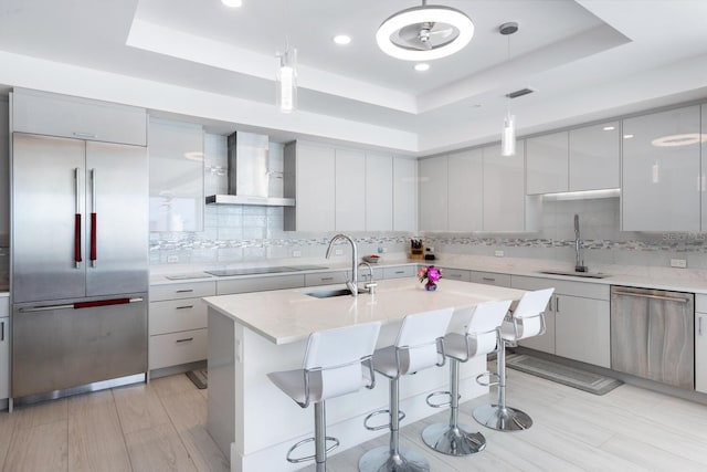 kitchen with a tray ceiling, sink, wall chimney exhaust hood, and appliances with stainless steel finishes