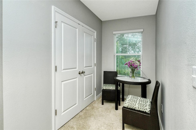 living area with light colored carpet