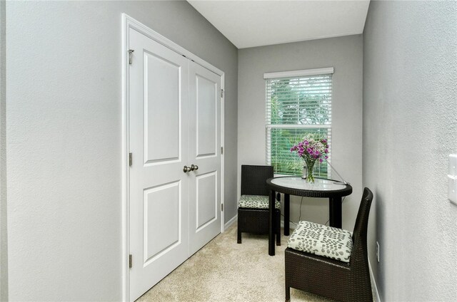 8608 Stargazer St, Sarasota, FL 34238 - photo 29