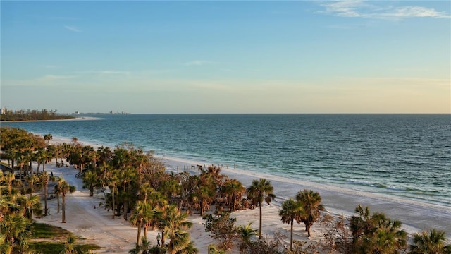 view of water feature featuring a beach view