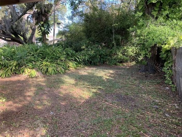 2321 Hillview St, Sarasota, FL 34239 - photo 4