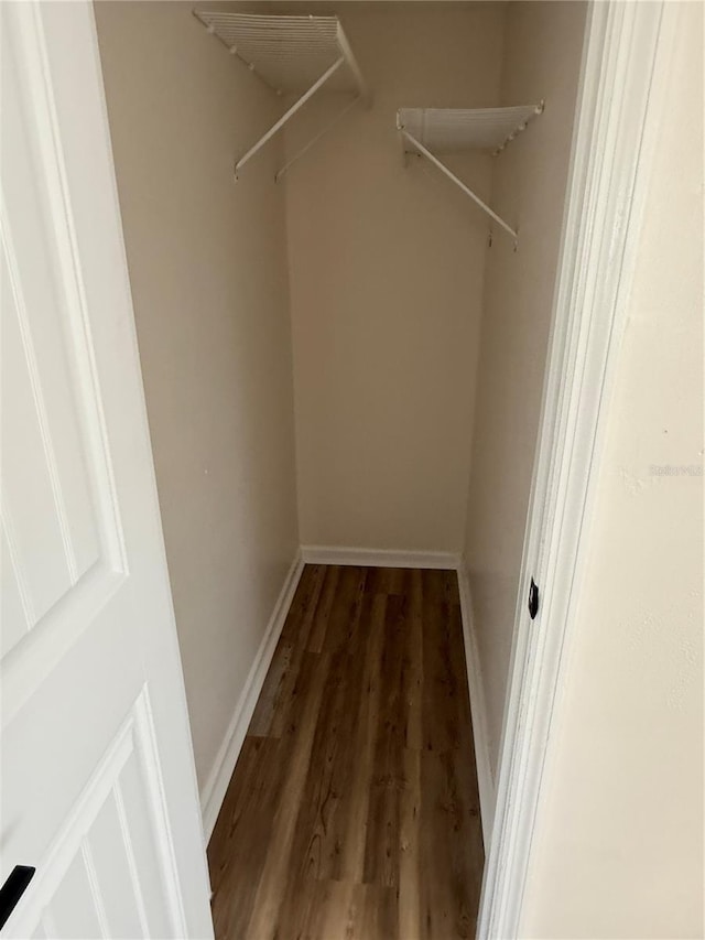 spacious closet with dark wood-type flooring