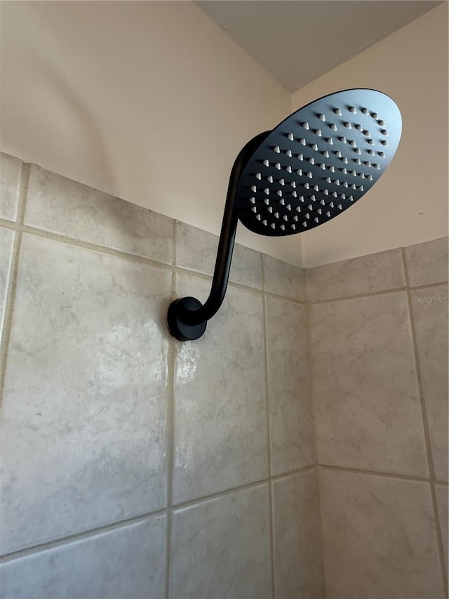 interior details with tiled shower