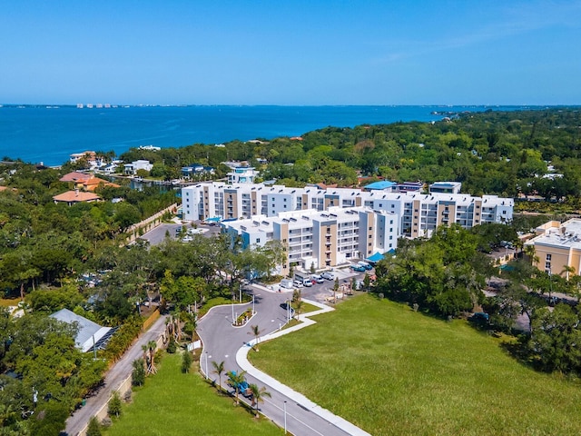 aerial view with a water view