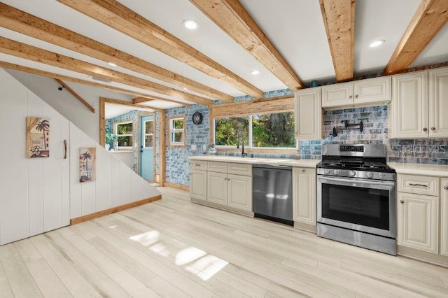 kitchen with stainless steel appliances, a wealth of natural light, and light hardwood / wood-style floors