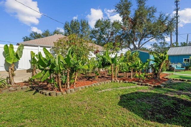 view of yard with a shed