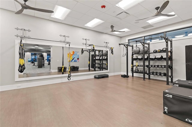 exercise room with a paneled ceiling, ceiling fan, and wood-type flooring