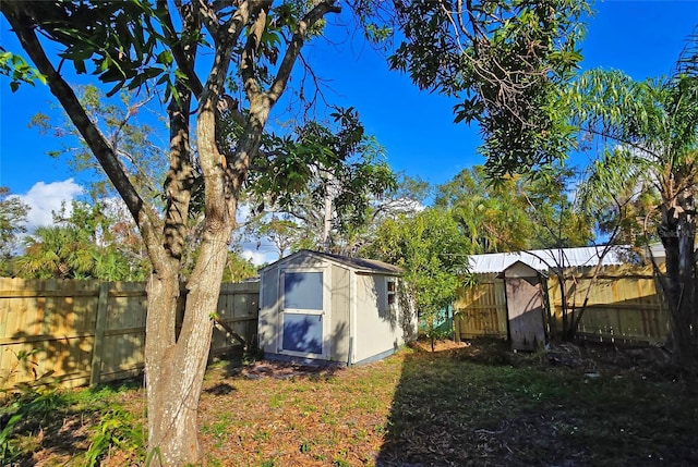 view of yard featuring a storage unit