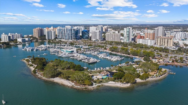 bird's eye view with a water view