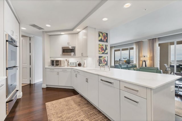 kitchen featuring plenty of natural light, dark wood-type flooring, sink, and stainless steel appliances