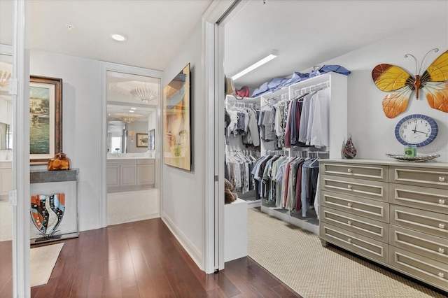 spacious closet featuring dark hardwood / wood-style floors