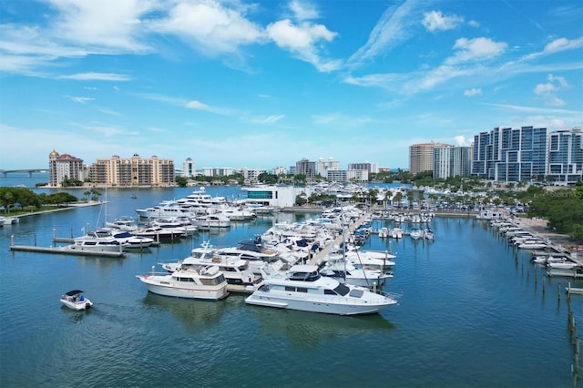 water view featuring a dock