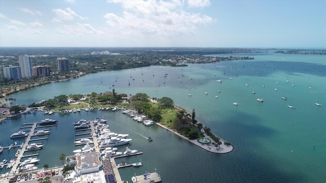 bird's eye view with a water view