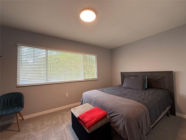 bedroom with carpet floors