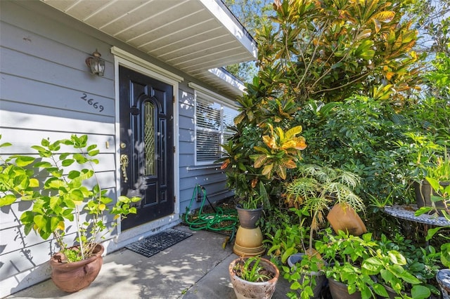 view of doorway to property