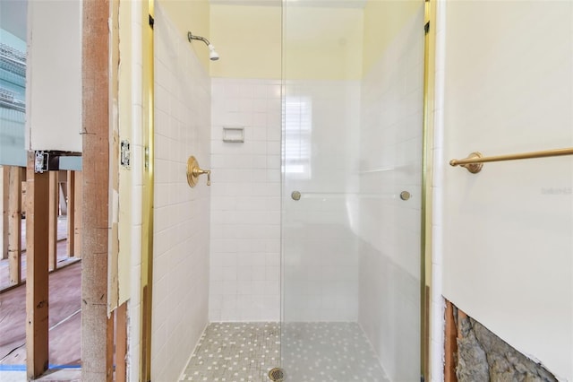 bathroom with a shower with shower door