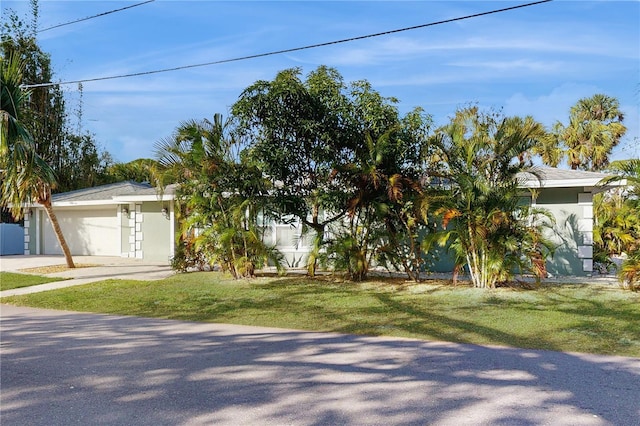 view of property hidden behind natural elements with a garage and a front yard