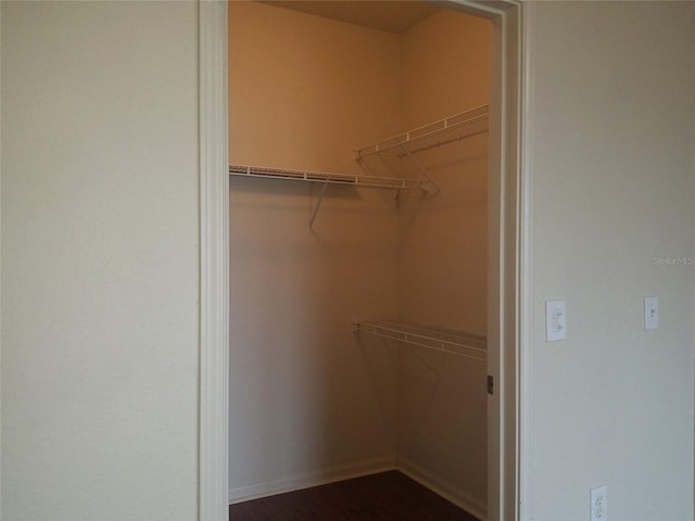 walk in closet featuring dark hardwood / wood-style flooring