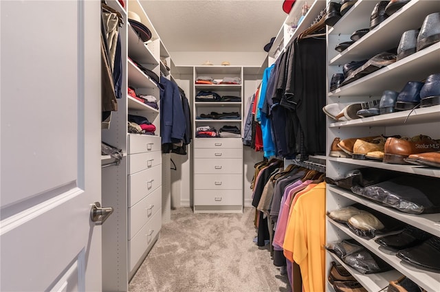 spacious closet with light colored carpet