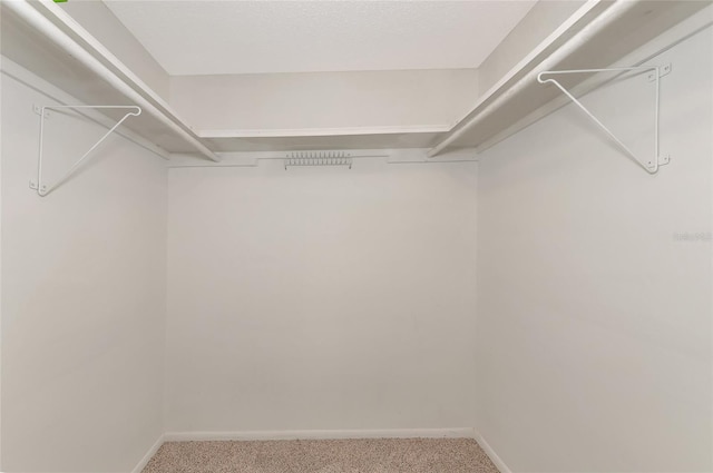 425 30th Ave W Unit C107, Bradenton, FL 34205 - photo 11