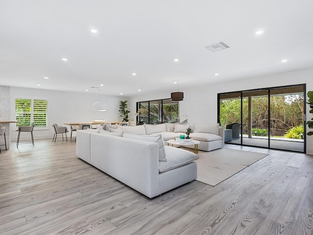 living room with a healthy amount of sunlight and light hardwood / wood-style flooring