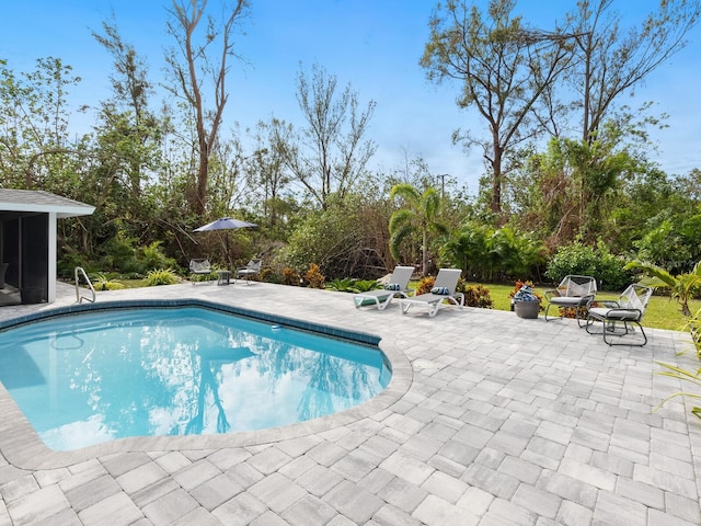 view of swimming pool featuring a patio and an outdoor fire pit