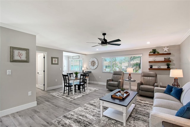 living room featuring ceiling fan, ornamental molding, and light wood-type flooring