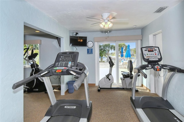 workout room featuring carpet, plenty of natural light, and ceiling fan