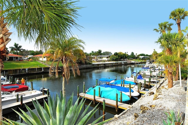 dock area with a water view