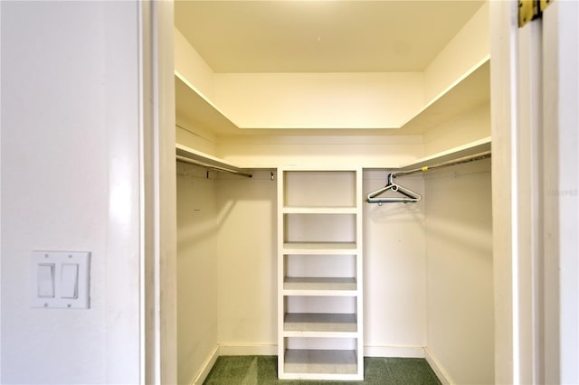 walk in closet featuring dark colored carpet