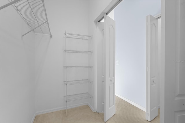 spacious closet with light carpet