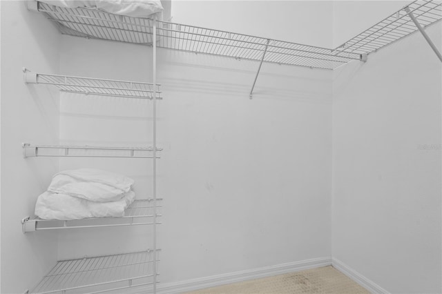 view of spacious closet