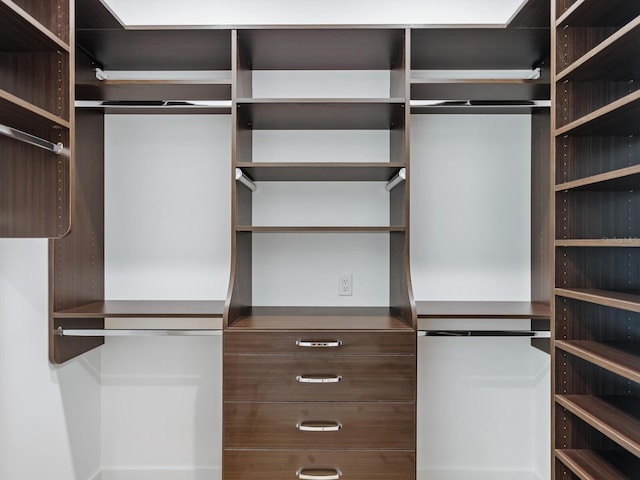 view of spacious closet